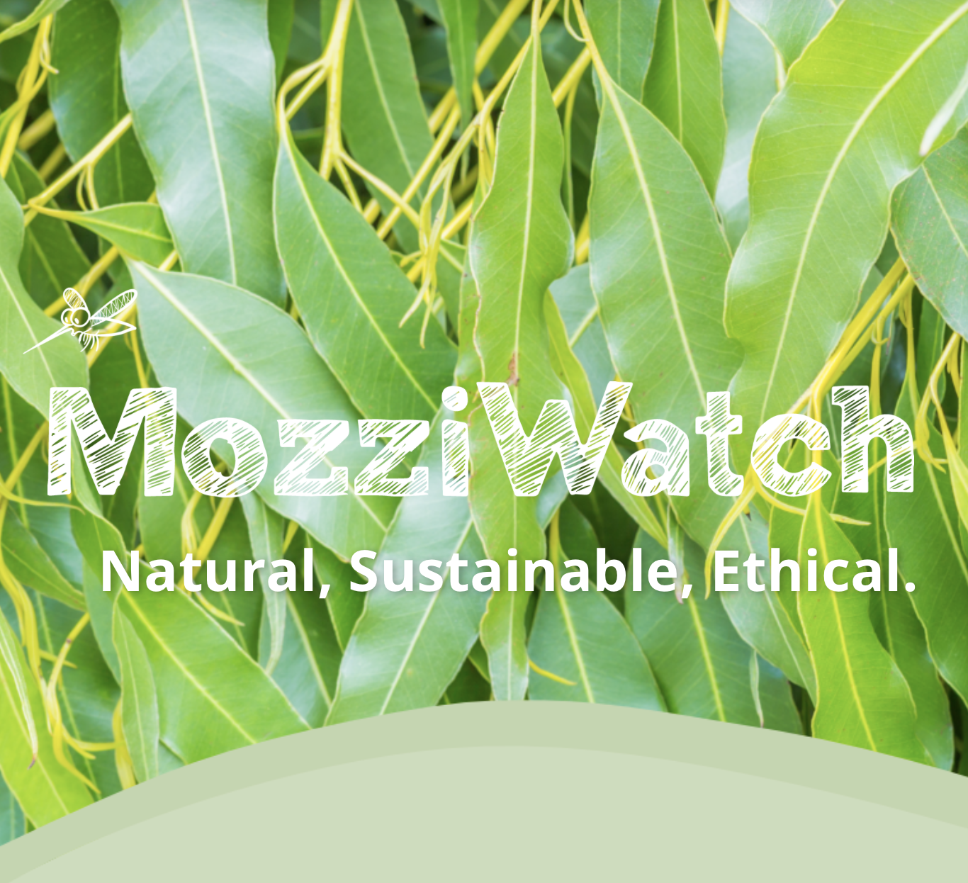 MozziWatch – účinnost s čistým svědomím